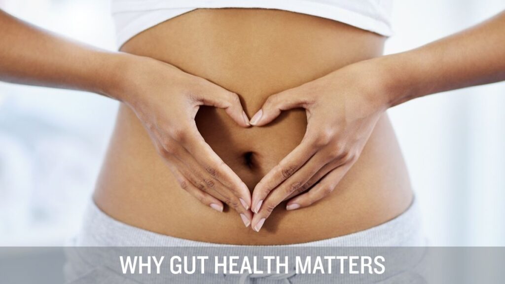 gut health wellness - why gut health matters