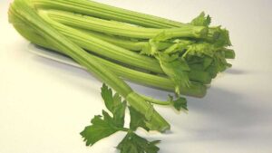 Fresh celery stalks for cleansing digestion