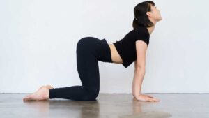 morning yoga poses for gut health and digestion