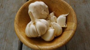 garlic - rich in inulin and other prebiotic compounds 
