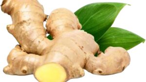 ginger used as a natural remedy for nausea, bloating, and indigestion