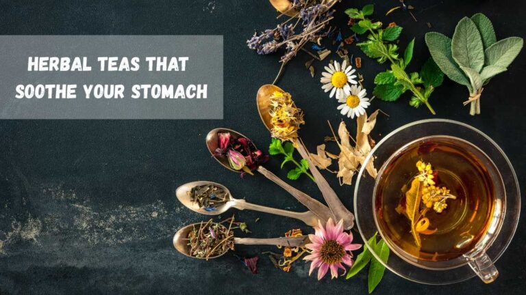 Assorted herbal teas in a cup including Rooibos, Tulsi, Cinnamon, Dandelion, Lemon Balm, Licorice Root, Fennel, Ginger, Peppermint, and Chamomile, naturally soothing the stomach and supporting healthy digestion.
