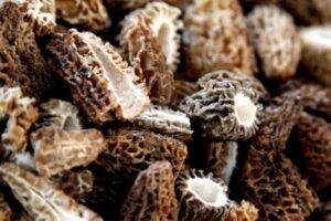 Fresh morel mushrooms are packed with iron and vitamin D.