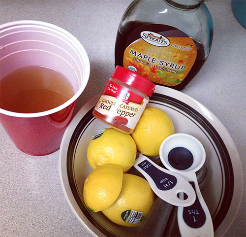 The Lemonade Diet ingredients